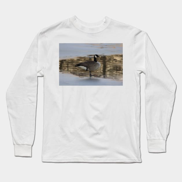 Canadian Goose resting on Ice Long Sleeve T-Shirt by ROBERTDBROZEK